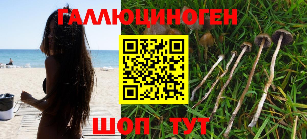 Псилоцибиновые грибы мухоморы  Вход с VPN  Верхний Уфалей 